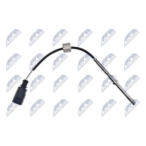PALPEUR, TEMPERATURE DES GAZ AUDI A3 1.6FSI 2002-