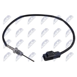 PALPEUR, TEMPERATURE DES GAZ ENG.2.0D FORD FOCUS II