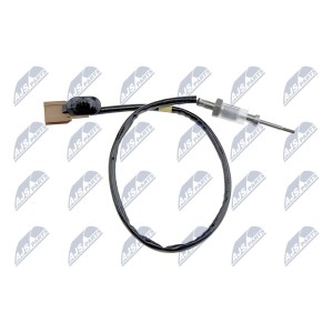 PALPEUR, TEMPERATURE DES GAZ RENAULT ESPACE IV 2.2DCI 102KW 06-