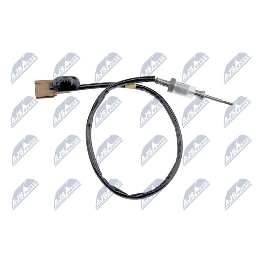 PALPEUR, TEMPERATURE DES GAZ RENAULT ESPACE IV 2.2DCI 102KW 06-