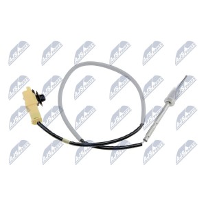 PALPEUR, TEMPERATURE DES GAZ RENAULT  MEGANE II 2.0DCI 05-