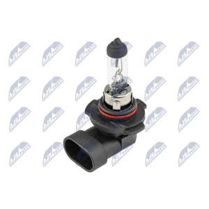 PAQUET DE 10 AMPOULE HALOGE ŻARÓWKA HALOGENOWA H10 12V 42W STANDARD /CULOT TYPE: PY20D/