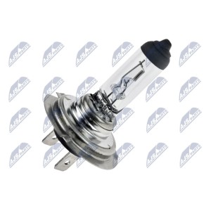 PAQUET DE 10 AMPOULE HALOGEN ŻARÓWKA HALOGENOWA H1812V65W STANDARD /TYP TRZONKA: PY26D-1/