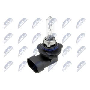 PAQUET DE 10 AMPOULE HALOGEN ŻARÓWKA HALOGENOWA HB3 9005 12V 65W STANDARD /CULOT TYPE: P20D/