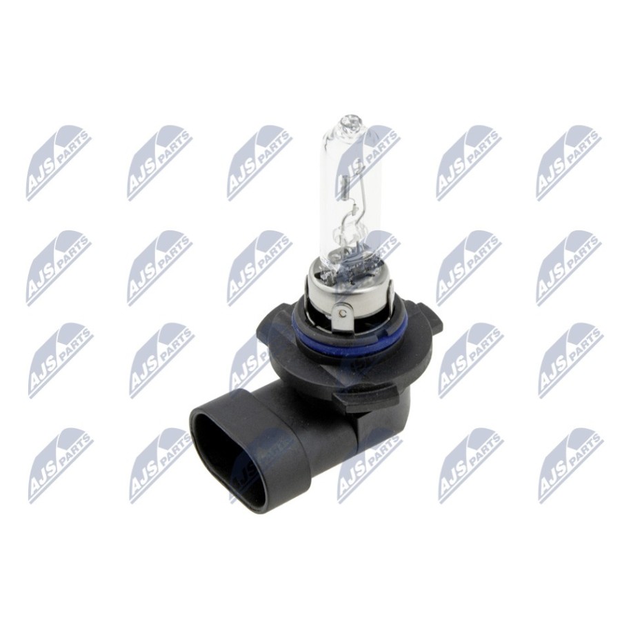 PAQUET DE 10 AMPOULE HALOGEN ŻARÓWKA HALOGENOWA HB3 9005 12V 65W STANDARD /CULOT TYPE: P20D/
