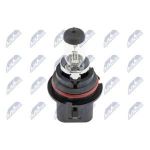 PAQUET DE 10 AMPOULE HALOGEN ŻARÓWKA HALOGENOWA HB5 9007 12V 65/55W STANDARD /CULOT TYPE: PX29T/