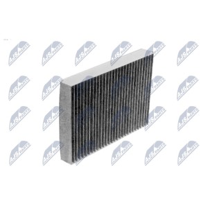 FILTRE D'HABITACLE DE CARBONE RENAULT MEGANE III 2.0TCE