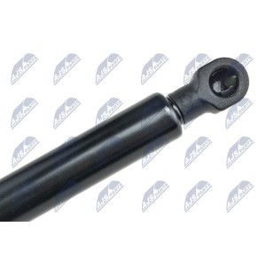 RESSORT A GAZ PRESSION MALLE DU HAYON AMORTISSEUR L=256MM