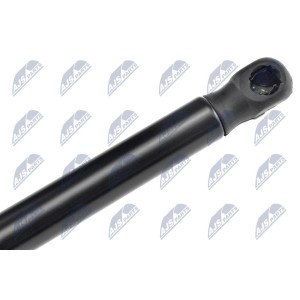RESSORT A GAZ COUVERCLE DE COMPARTIMENT DE MOTEUR L=678MM